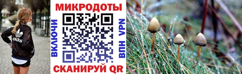 Купить закладки  Полярный  Галлюциногенные грибы мухоморы 